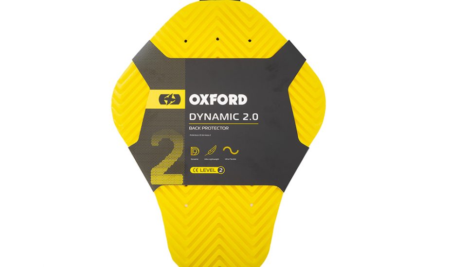 Dynamic Back Protector 2.0 - In Stock Now
