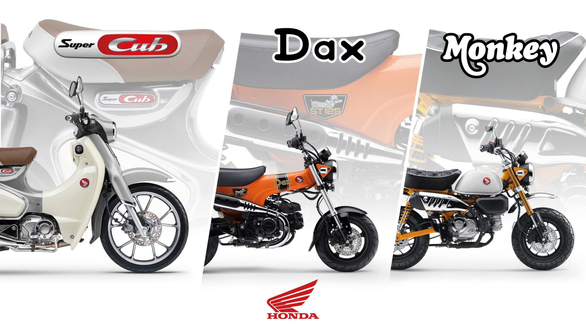 New 2026 Colours For Iconic Honda Monkey 125,  St125 Dax And Super Cub C125