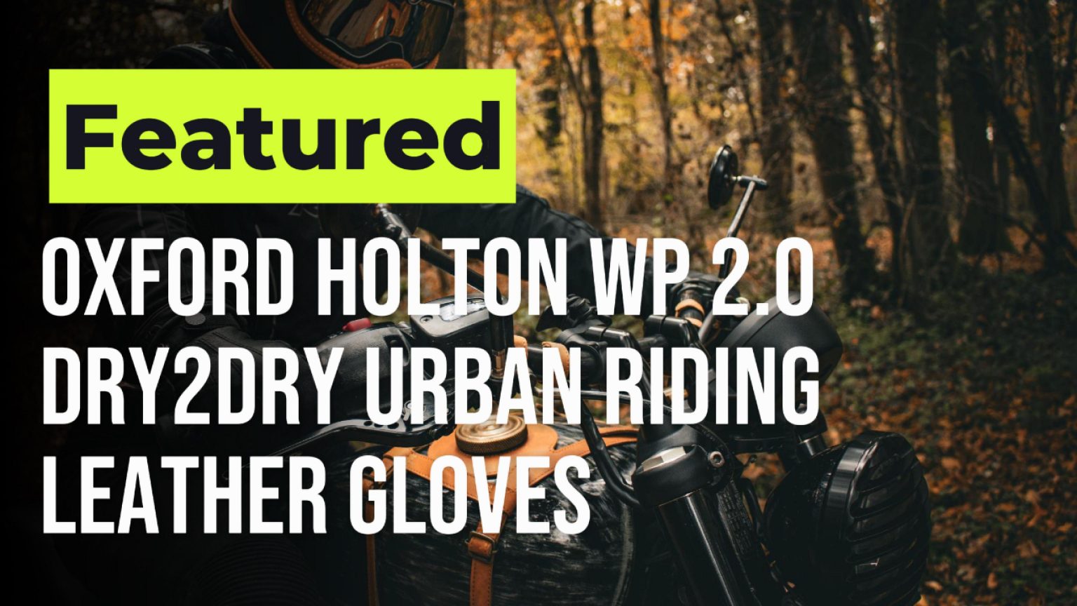 Oxford Holton Ladies Waterproof Gloves Review: Stylish Protection In Black